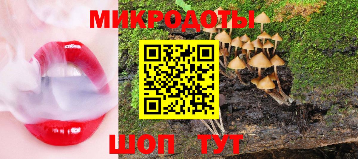 Псилоцибиновые грибы GOLDEN TEACHER Советская Гавань