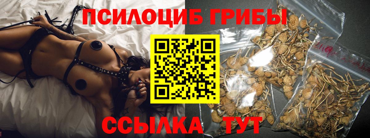 Галлюциногенные грибы Cubensis  цена   Советская Гавань  Псилоцибиновые грибы прущие грибы  Вход с VPN 